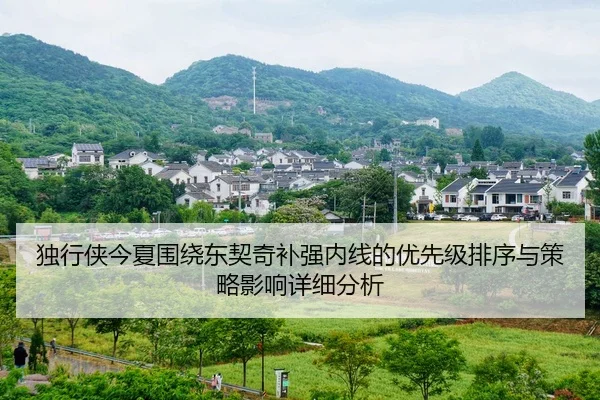 独行侠今夏围绕东契奇补强内线的优先级排序与策略影响详细分析