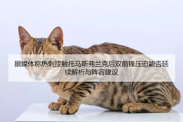 据媒体称热刺接触托马斯弗兰克后双前锋压迫能否延续解析与阵容建议